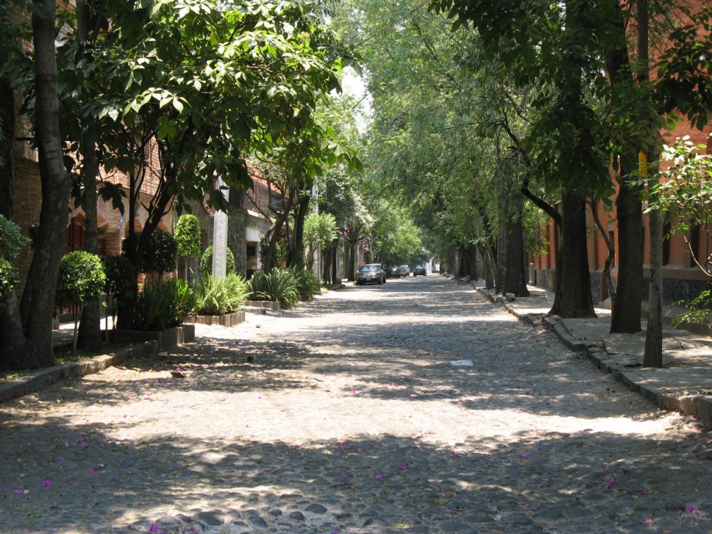 Calle de Coyoacan