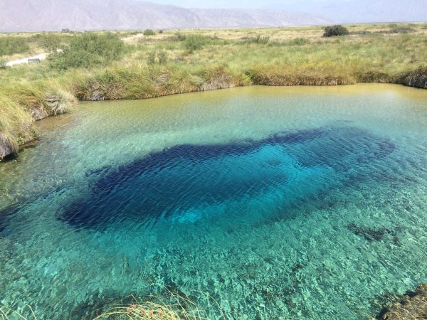 Cuatro Ciénegas Coahuila