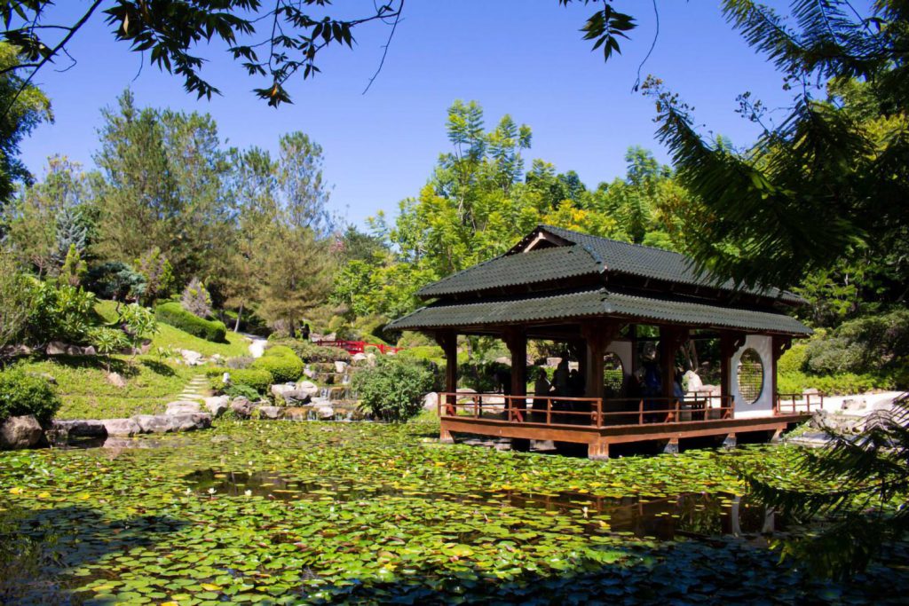 Jardín japonés en Jardínes de México