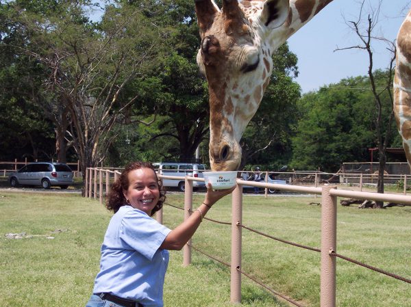 Zoológico Zoofari