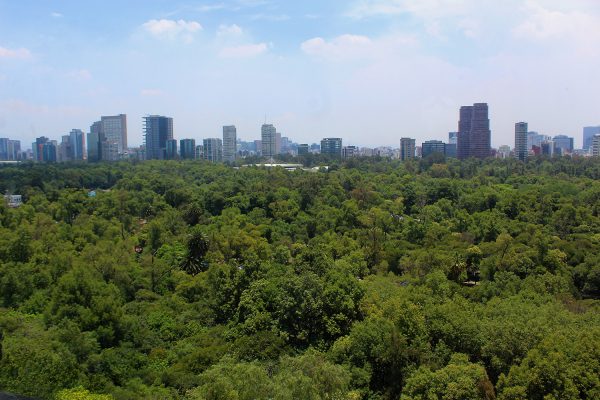 panoramica de la ciudad de mexico desde el castillo de chapultepec