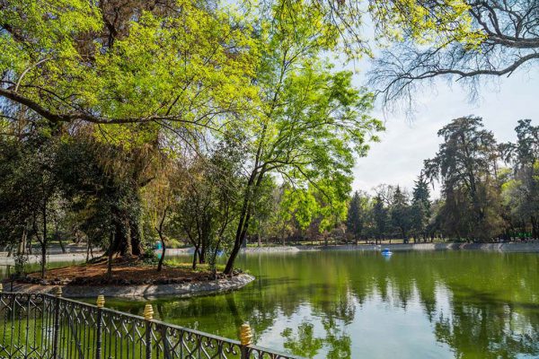 El Bosque De Chapultepec En La Ciudad De México - En México